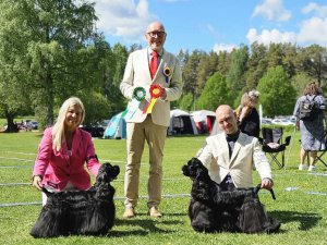 Lovebumps Double O'Seven, Caci's Candy Crush, SANDVIKEN