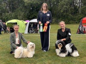 Pelvix Chill Out, Meandi's I Want It All, VÄSTERÅS