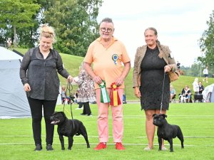 O Arca Dos Galaico Bulls Babuxa, Tattmans Shazam Shazam, ASKERSUND